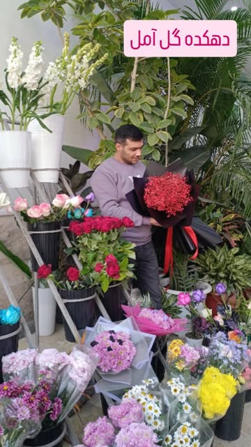 دسته گل ژیپسوفیلیا