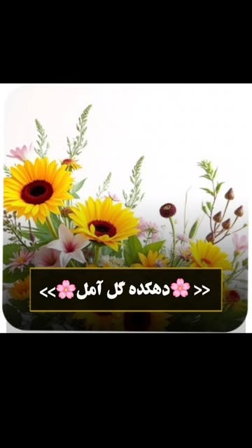 گل رز و داوودی