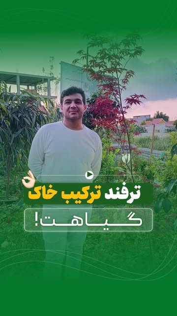 خاک مخصوص گیاهان اپارتمانی